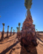 475474039_17861110029343563_1074781757255004338_n