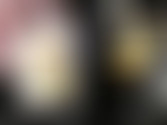 Loewe 2017 秋冬 包包抢先看 ^.^