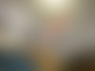 Exemple de constat - rapport d'Inspection en bâtiment JE