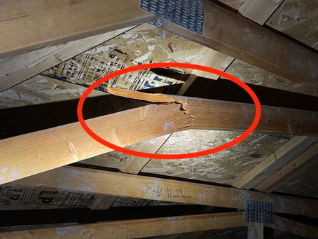 Exemple de constat - rapport d'Inspection en bâtiment JE