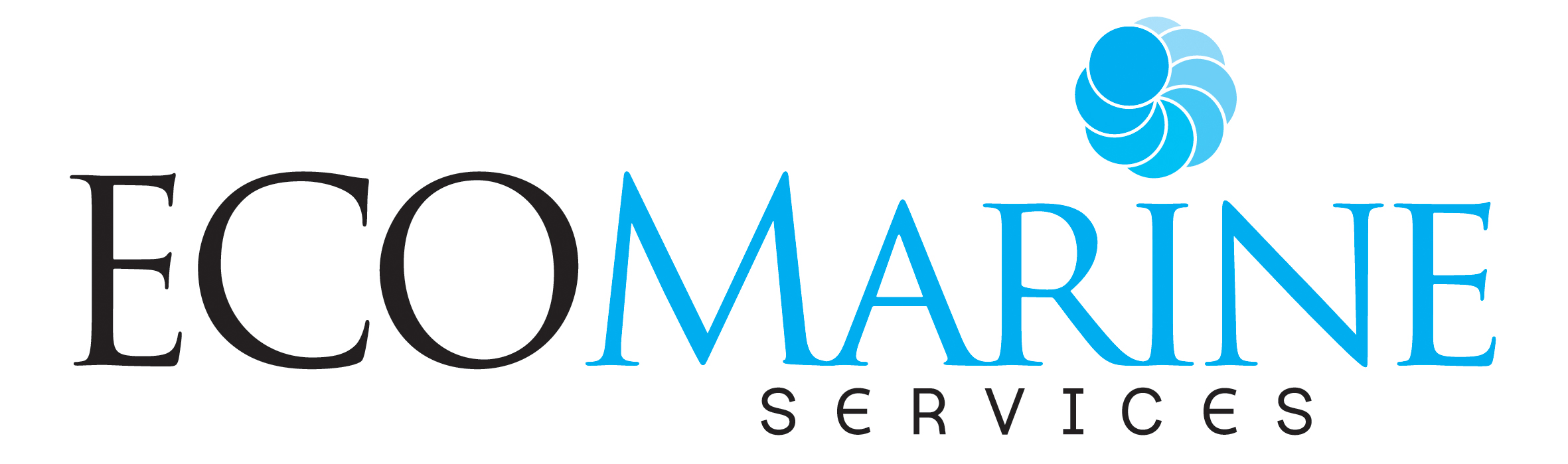 ecomarine services rov tank inspections and cleaning