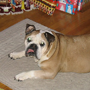 mugsy2.JPG