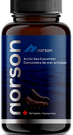 NorsonSeaCucumberBottle2.png
