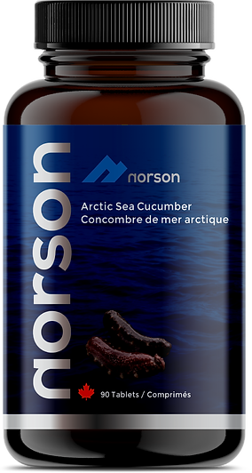 NorsonSeaCucumberBottle2.png