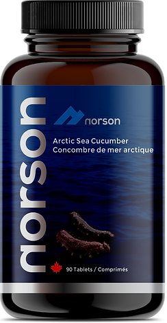 NorsonSeaCucumberBottle2.png