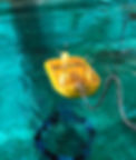 TritonC_Marinet.jpg