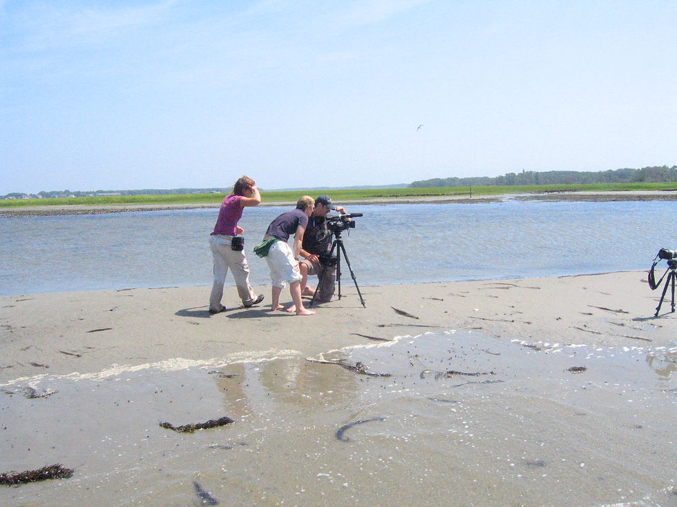 Hazel29 Team on Beach Shooting with Tripod