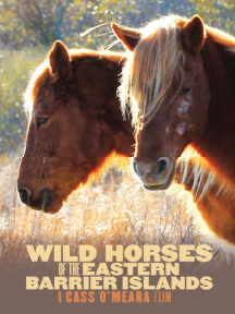 WildHorses.Cover.awardArtboard 1.png