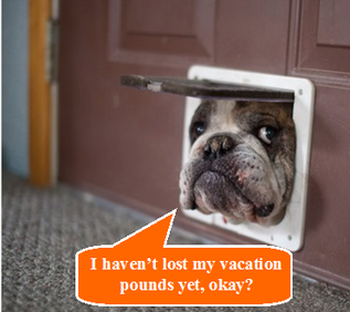 How can I Dodge Vacation Pounds?