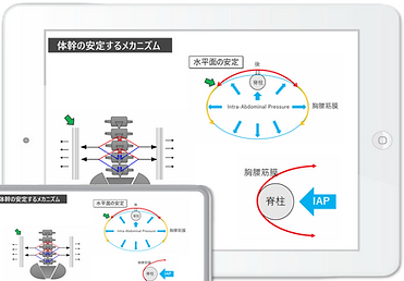 IMG_2718 (1).PNG