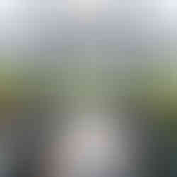 Open-air wooden ceremony pavilion with benches and lake views at Butterfly Kisses Pavilion in Newport, NC.