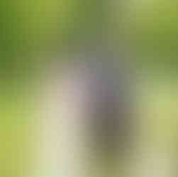 Bride and groom walking hand-in-hand beside the lake at Butterfly Kisses Pavilion in Newport, NC.