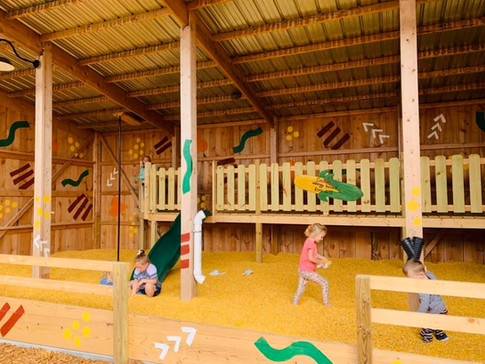 kids in cornpit.jpeg