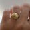 תמונה ממוזערת: Gold Oyster ring