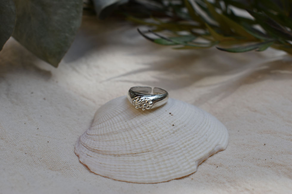 תמונה ממוזערת: Golf ring