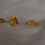 תמונה ממוזערת: Gold Small flat shell ring