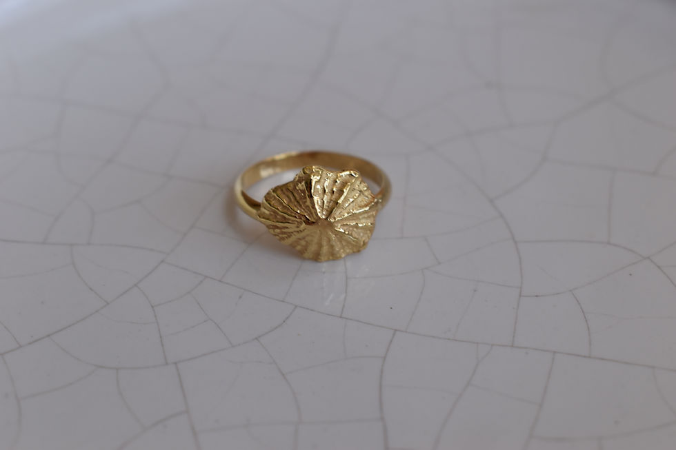 תמונה ממוזערת: Gold Oyster ring