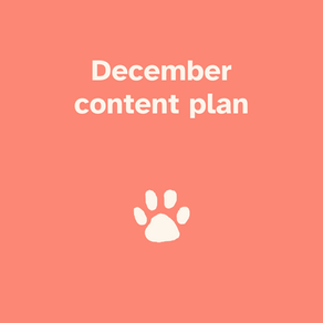 Image saying 'December content plan'