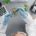 top-view-female-researcher-lab.jpg