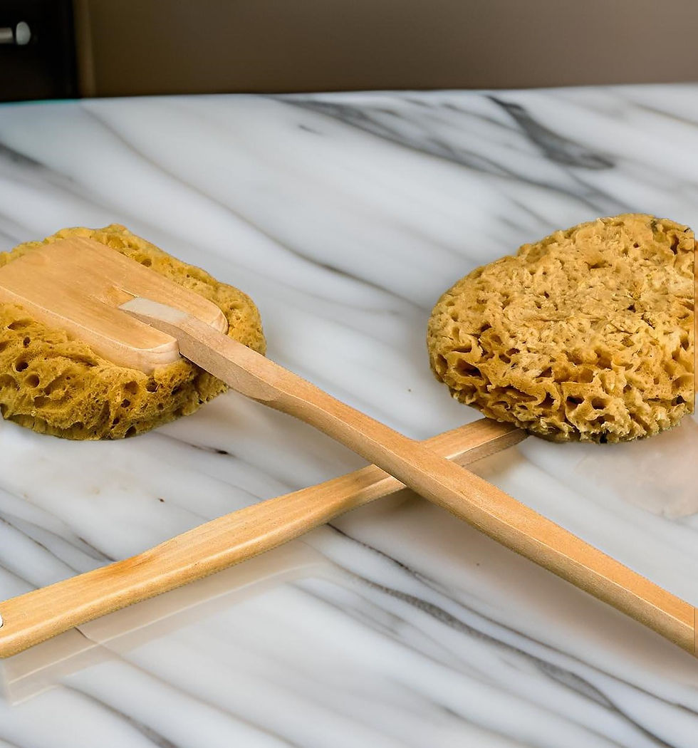 Natural Sea Wool Sponge On a Stick