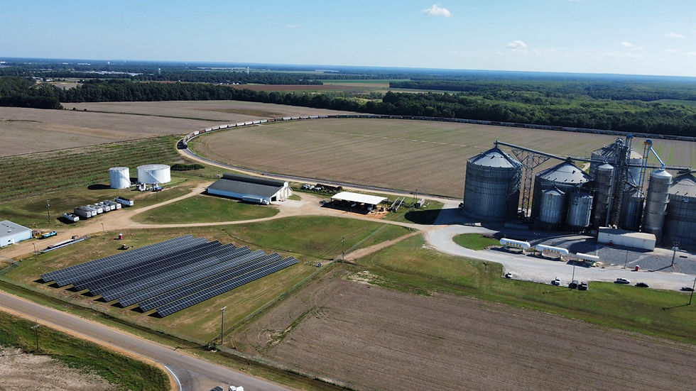 dji_fly_20240926_101804_636_1727363890996_photo_optimized.jpg