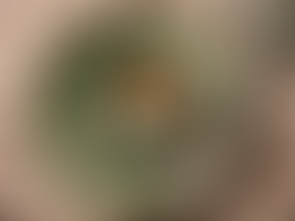 Unlock the Power of Nutrition for Better Bone Health