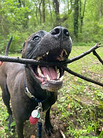 IMG_1605.jpeg