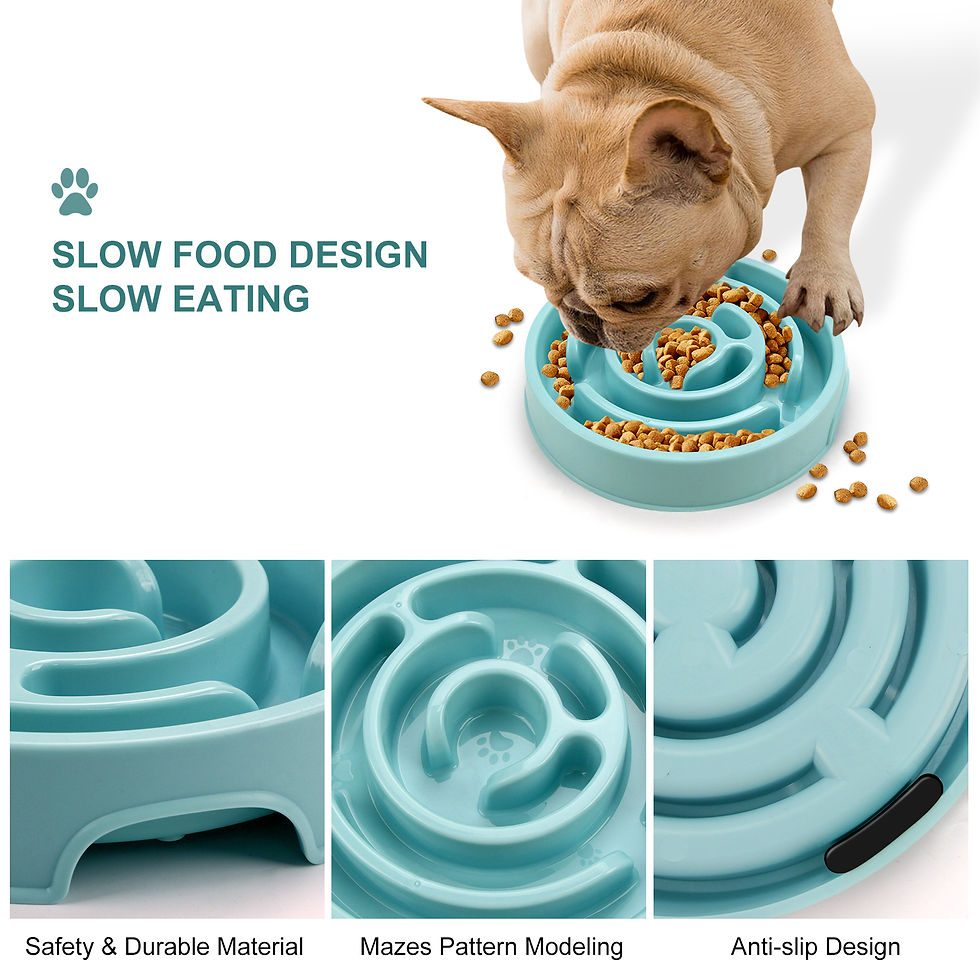 Miniatura: Pet Dog Slow Feeder Bowl Fun Non Slip Anti-Gulping Slower Food Feeding Dishes Ec