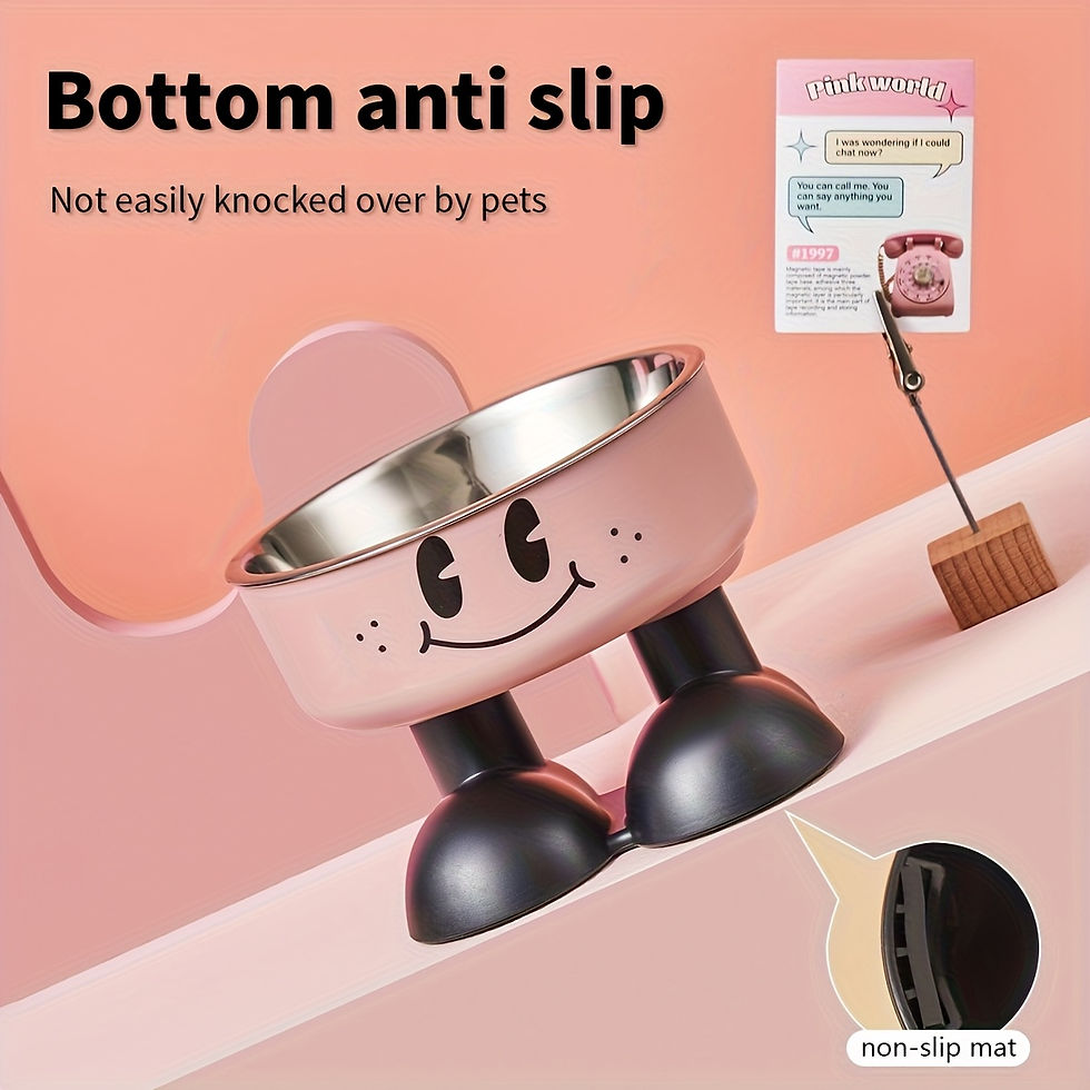Miniatura: Elevated Dog Cat Bowl Stainless Steel Food Water Bowls Raised No Spill Pet Feede