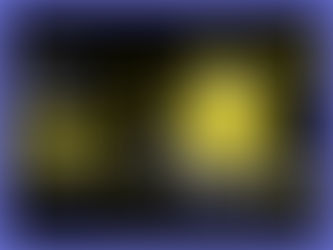 Job Vacancy: Dutch-speaking Project and Administrative Officer — apply by 20 April 2026