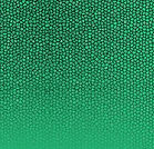 Green Scale Fade_edited_edited_edited_edited.jpg