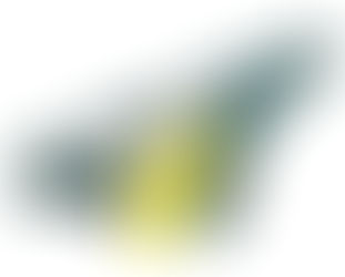 Why Should Invest In Slat Conveyor?