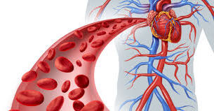 PEMF Therapy Reduces Symptoms of Vascular Disease