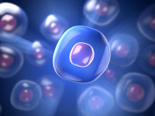 Benefit of PEMF on Cells & Mitochondria