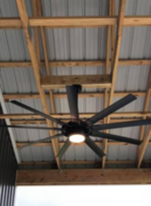 fan