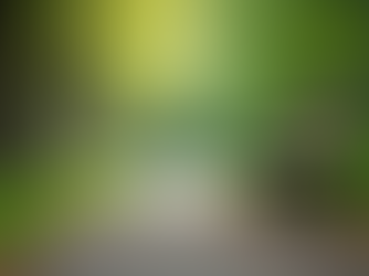 The Art of Effective Communication