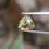 サムネイル： 天然非加熱オレンジ ミックス ゴールドサファイア0.80ct