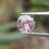 サムネイル： ピーチサファイア 1.03ct