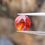 サムネイル： ガーネット ルース サンセット カラー 1.91ct | Zakkano | 岡崎愛知県