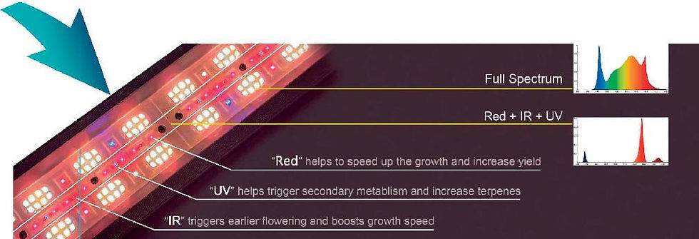 Miniaturbild: Diode explanation for Product: Powerlux Extreme Par 720W