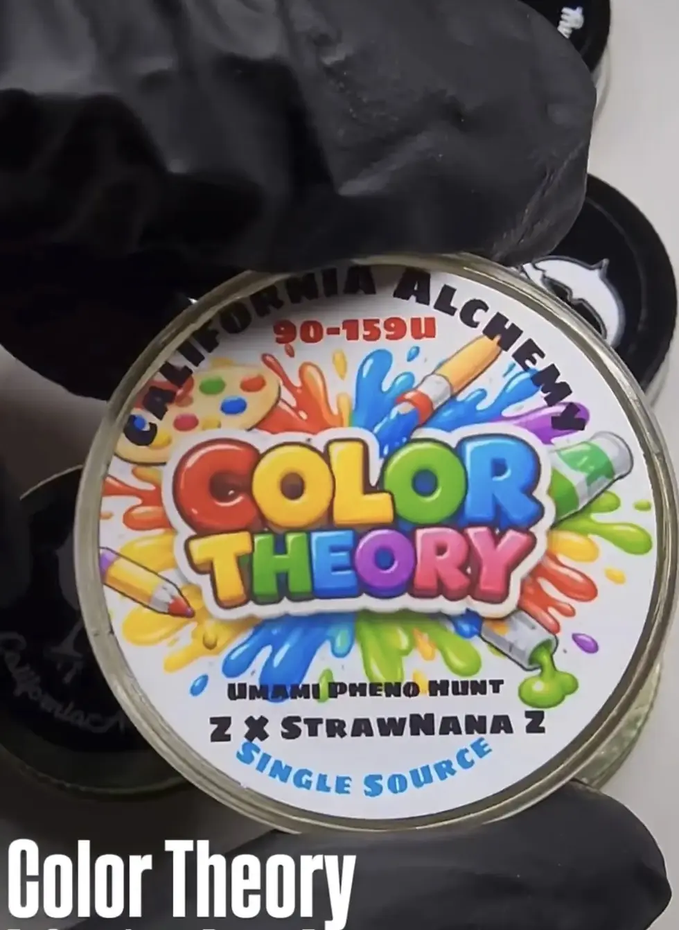 Thumbnail: Color Theory von Umami Seed Co  Collab mit DNA Genetics