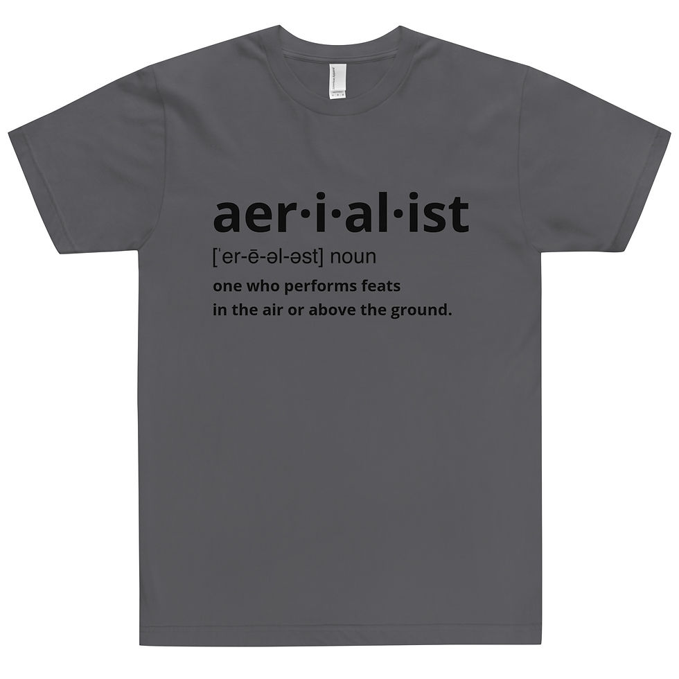Thumbnail: Aerialist definition Unisex T-Shirt