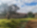 20220411_153338.jpg