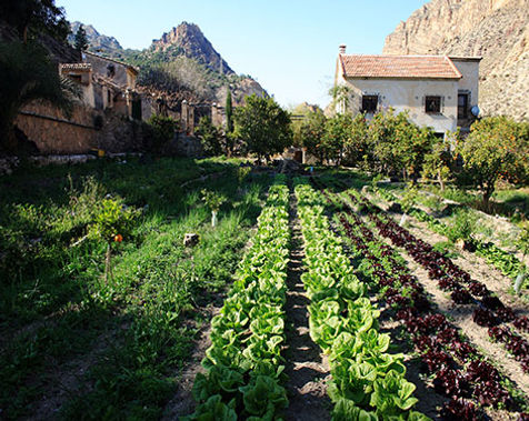Vista del ecohuerto de Etxoste, Oxox