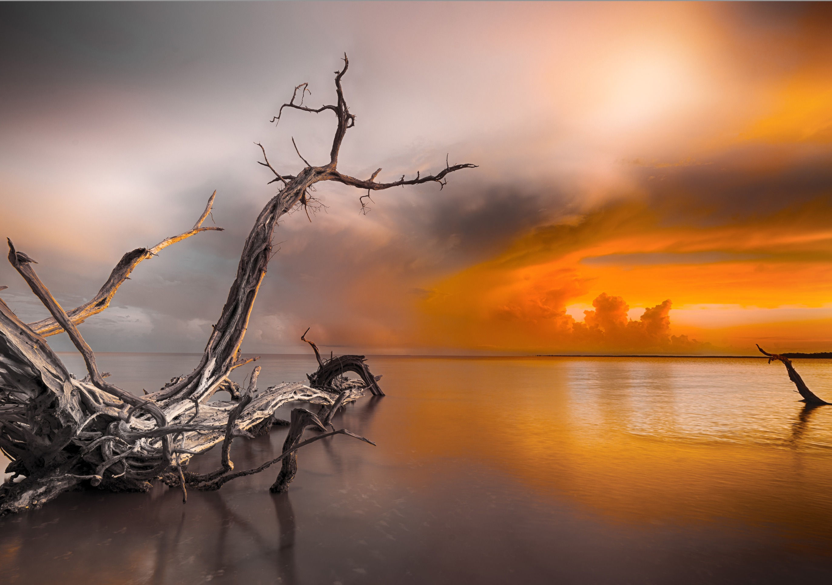 30x40 Canvas w/Frame