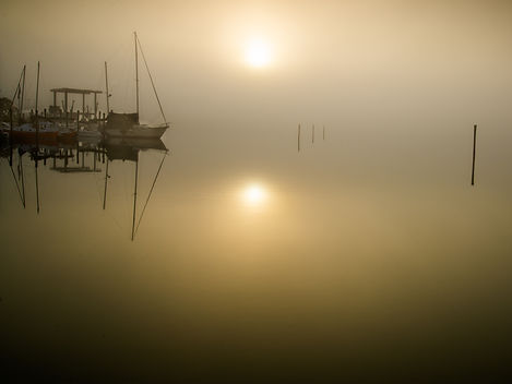 goodland fog.JPG
