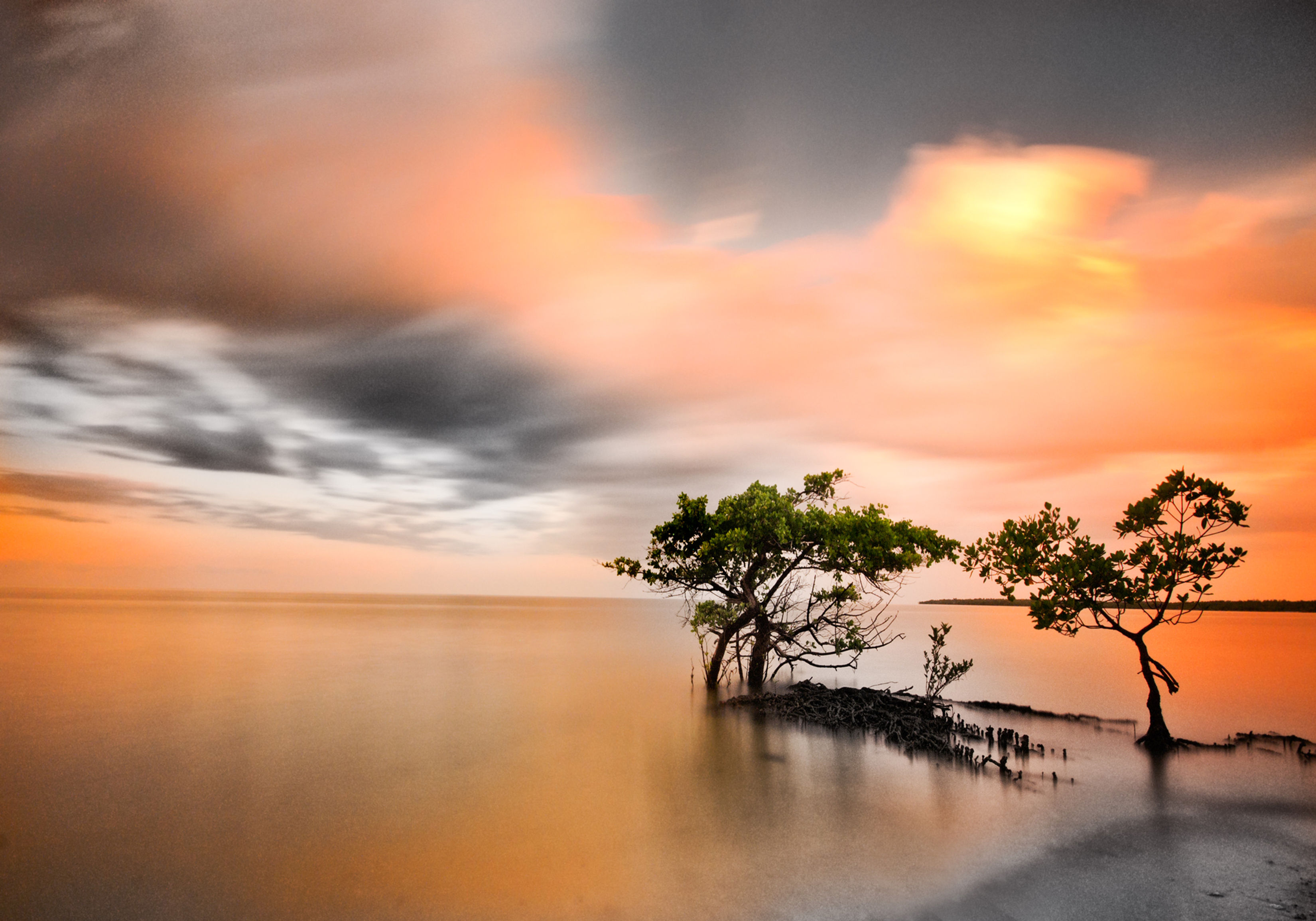 40x60 Canvas w/Frame