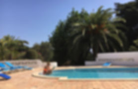 IMG_7623.jpeg