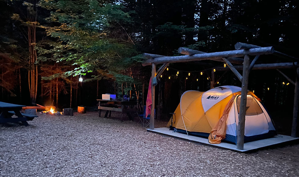 camp kiki web.jpeg