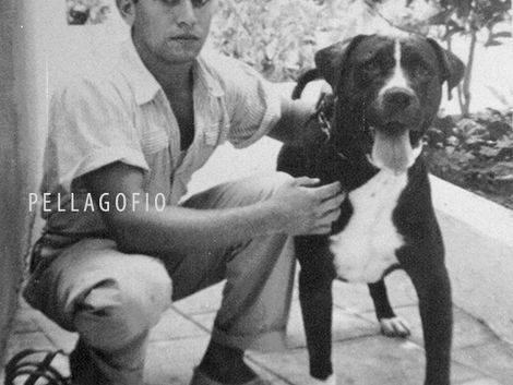 İLK ORJİNAL PRESA CANARİO STANDARTI KANARYA ADALARI        -         PATRON RACIAL DEL PRESA CANARIO